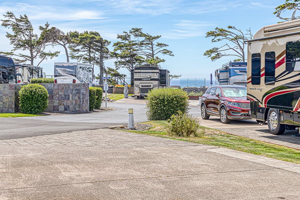 A well-maintained coastal RV park with spacious paved sites, mature windswept trees, and ocean views creates an ideal basecamp for relaxation.