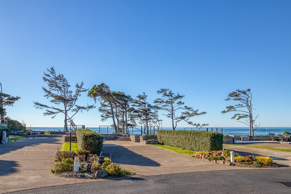 A stunning coastal setting awaits with dramatic windswept trees and scenic oceanfront grounds surrounding the property area.