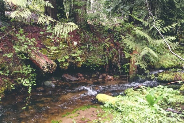 River