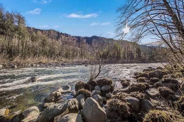 A scenic river winds through forested mountains, creating a peaceful natural landscape in the surrounding area.