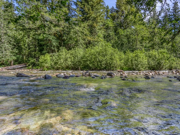 A tranquil river flows through a lush forest setting, surrounded by tall evergreens and rocky shoreline—a peaceful natural feature near the property.