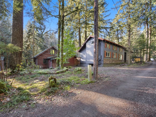 Charming forest cabins nestled among towering trees, offering a peaceful retreat with convenient parking and natural surroundings.