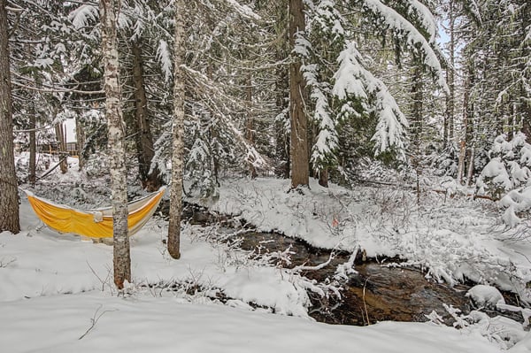 Escape to your own winter wonderland with a cozy hammock overlooking a peaceful stream through snow-laden pines.