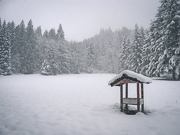 Crystal Creek Chalet-49