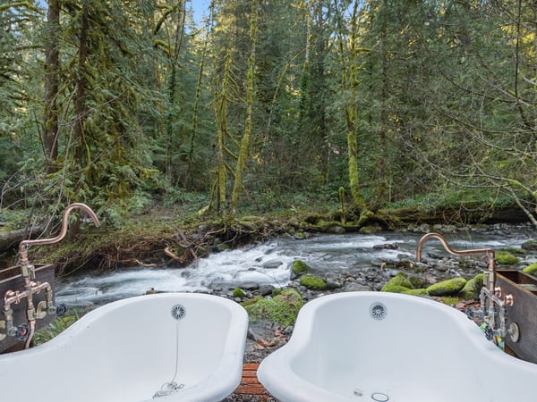 Soak in twin clawfoot tubs beside a rushing forest stream, where copper fixtures gleam and moss-covered trees create your private wilderness sanctuary.