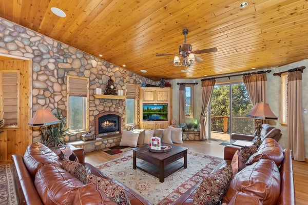 Great Living Room Area with Fireplace and TV