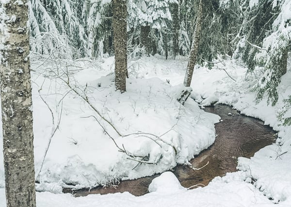 Chalet Am Berg View of Camp Creek in Winter