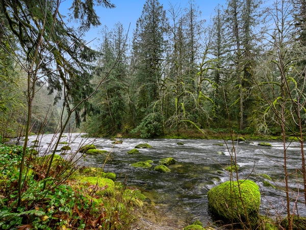 Bear River Retreat- Nestled on the Salmon River