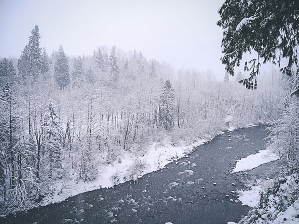 Crystal Creek Chalet-51