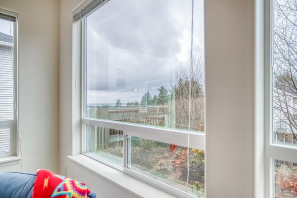 Window Views