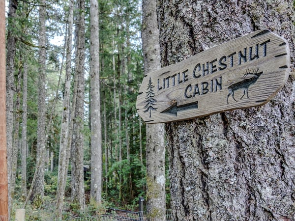 Little Chestnut Cabin-