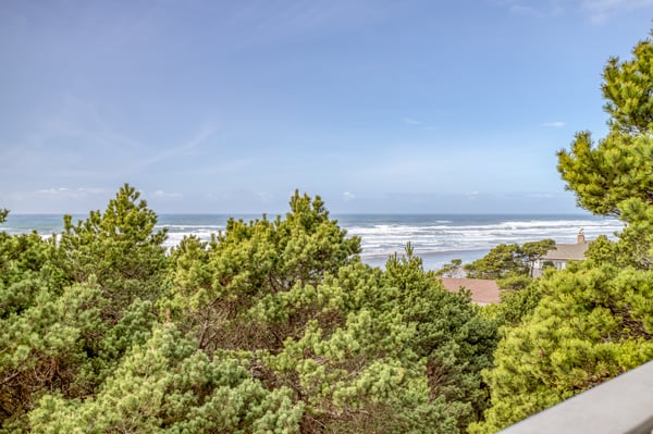 Ocean View from Patio