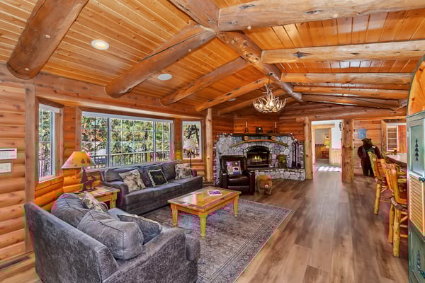 Living Room area with fireplace