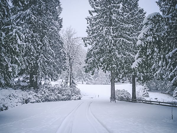 Crystal Creek Chalet-52